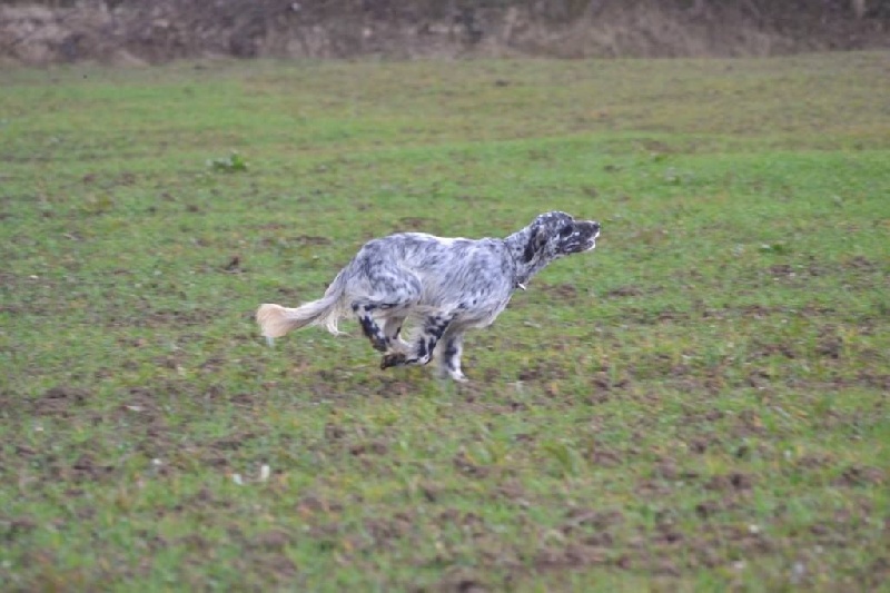 Publication : Du Comté De Trépugnat 