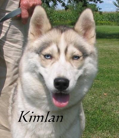 CH. Kimlan's Kittemaug