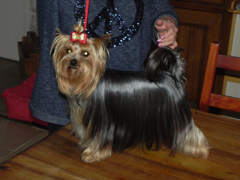 Publication : de terre basse Auteur : Joëlle CHAREYRON