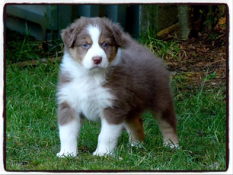 Publication : De la terre des deux caps