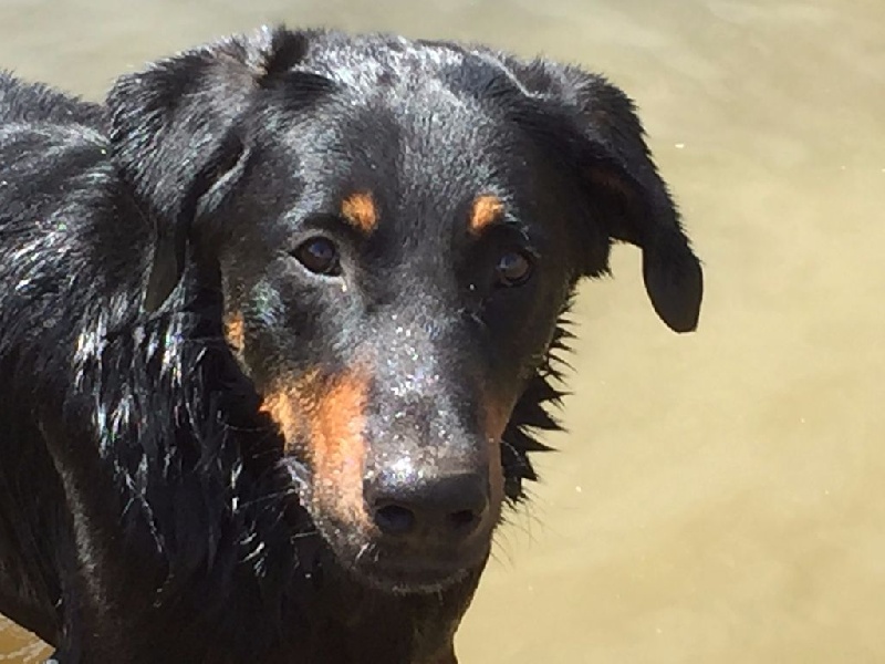 Auteur : Deborah Lafaye