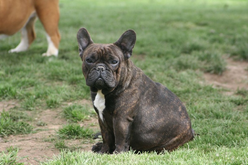 Publication : Du Domaine D'aillam Tenroc