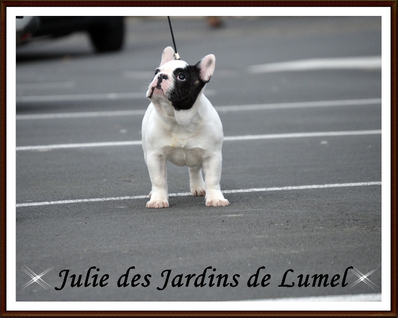 Julie Des Jardins De Lumel