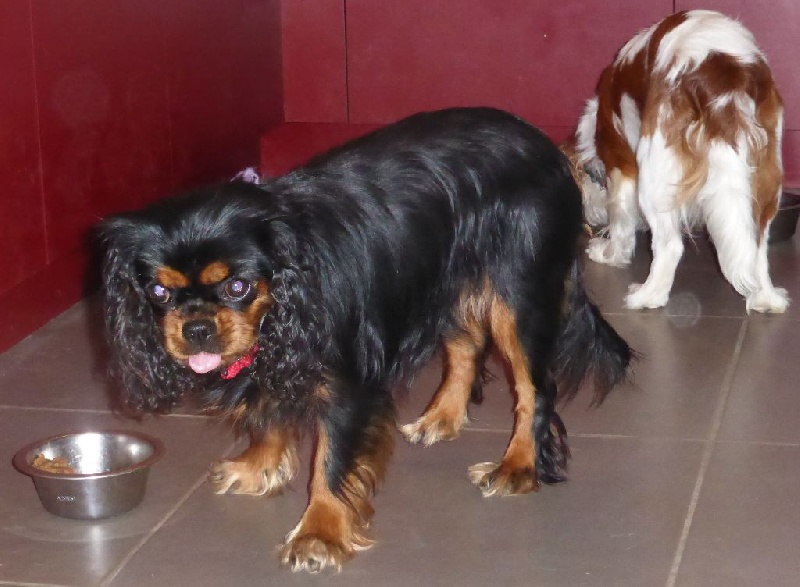 Publication : Des Anges Au Coeur Rouge