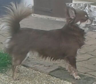 Publication : De l'archevault