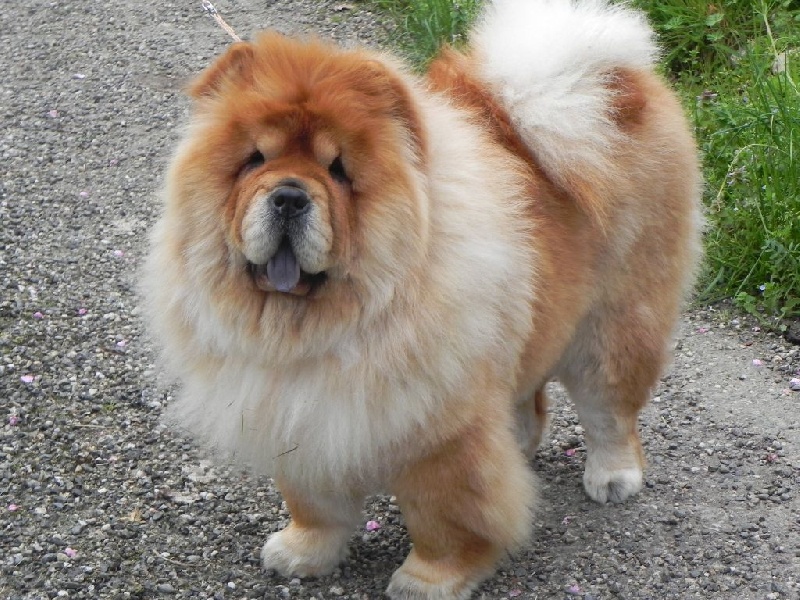 Publication : de Fu Xing Auteur : jaffard valerie