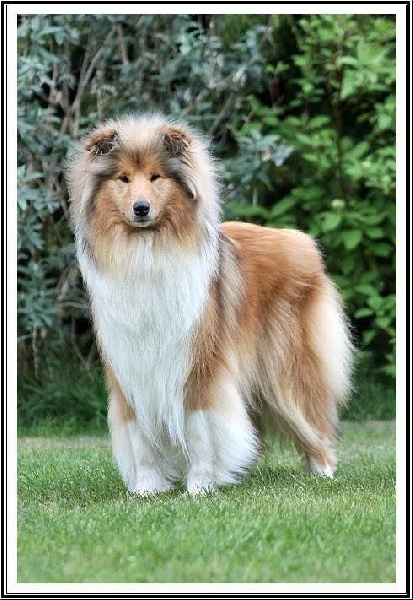 Publication : Des Plaines D'earny Auteur : Fleur Agoutin