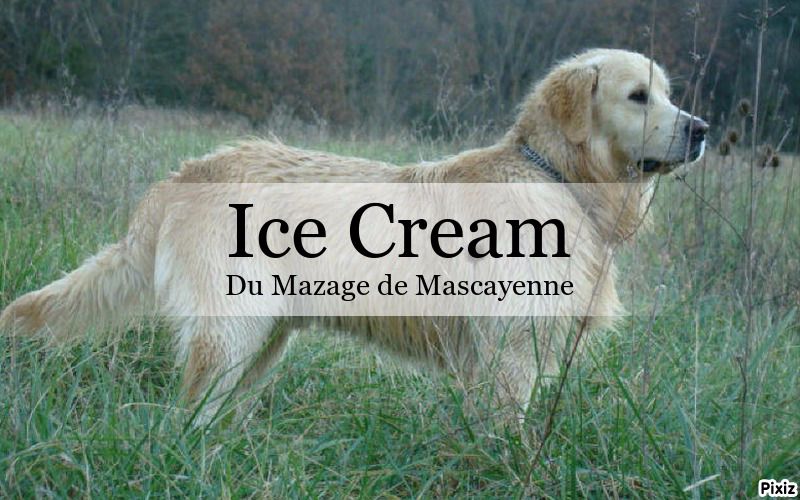Ice cream Du mazage de mascayenne
