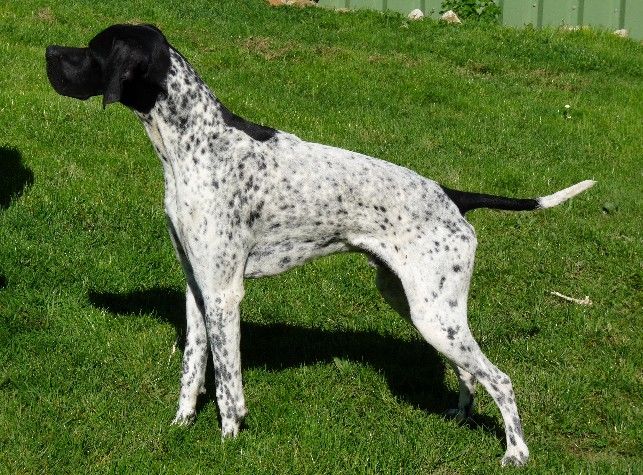 Publication : des Chaines du lievre