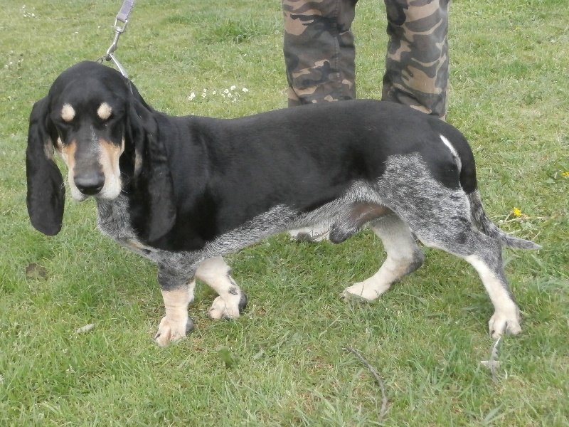 Publication : deuz hekleo kerpabu 