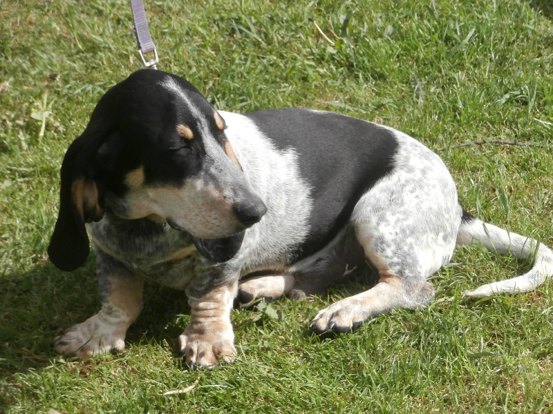 Publication : deuz hekleo kerpabu 