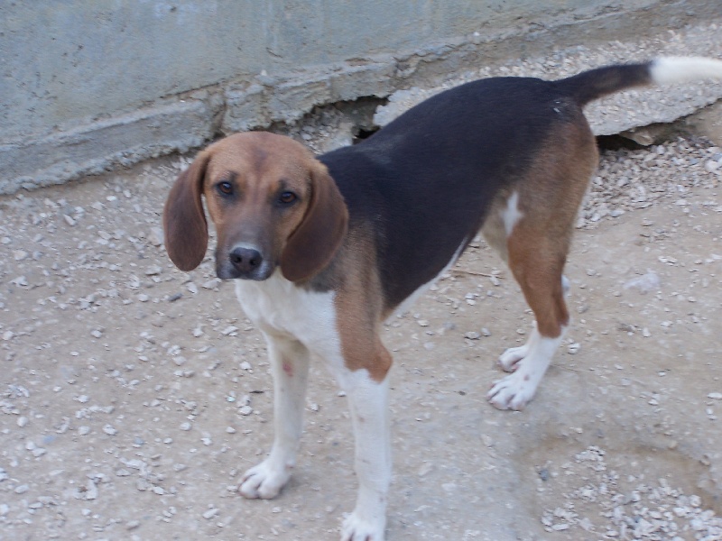 Publication : des hauts plateaux du vercors 