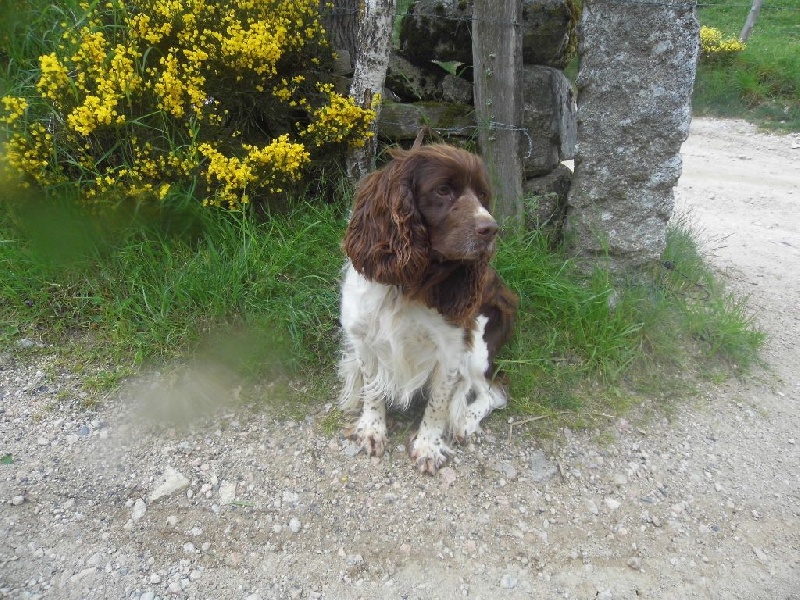 TR. Elia (Sans Affixe)