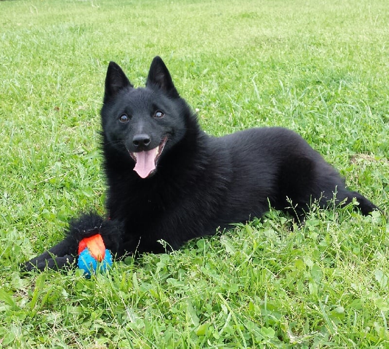 Publication : De L'ame Des Bateliers