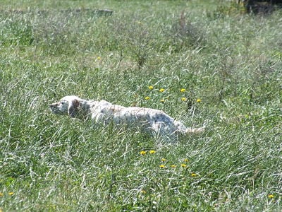 Genotte Des Sous Bois Des Avens