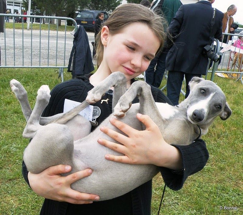 Publication : du Cèdre Enchanté