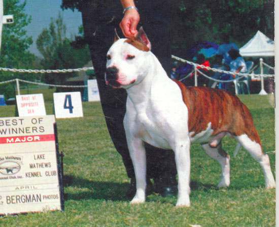 CH. Talk o the towns Tankasaraeus