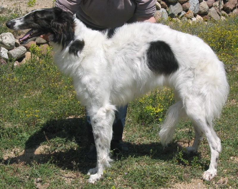 Publication : Silvergrey Auteur : Silvergrey