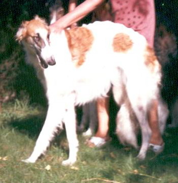 tanato's Nana nefele