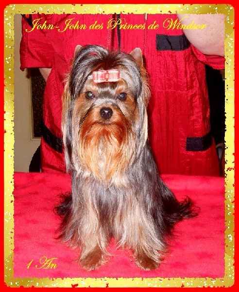 John-john little boy des Princes de Windsor