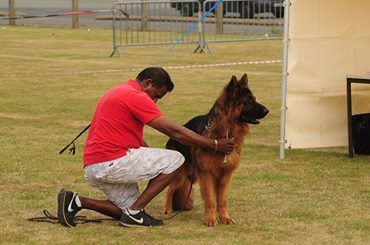 Isko du jardin de Mesoz