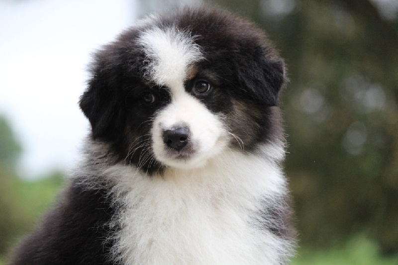 Publication : Of Hickory Lake 