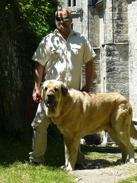 Publication : De Kerbillio 