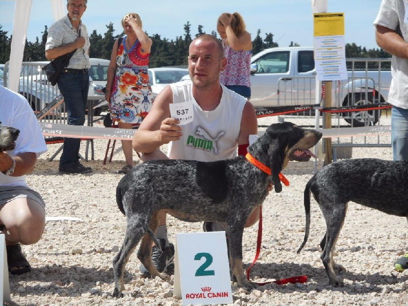 Publication : Des Gorges De Ciara