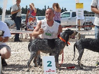 Étalon Petit bleu de Gascogne - Jaguar Des Gorges De Ciara