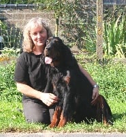 Étalon Setter Gordon - K.h.magister Of royal residence