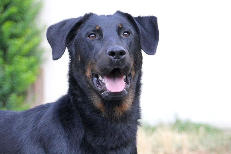 Publication : des Coteaux du petit gris Auteur : Emilie DEPREZ