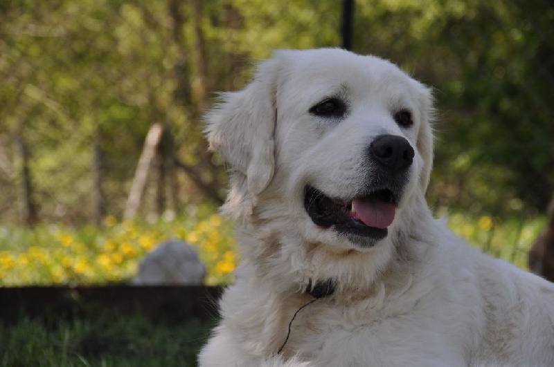 Publication : des coleres de Zeus Auteur : DEROODE