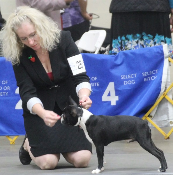 Publication : GoldenGlimmer 