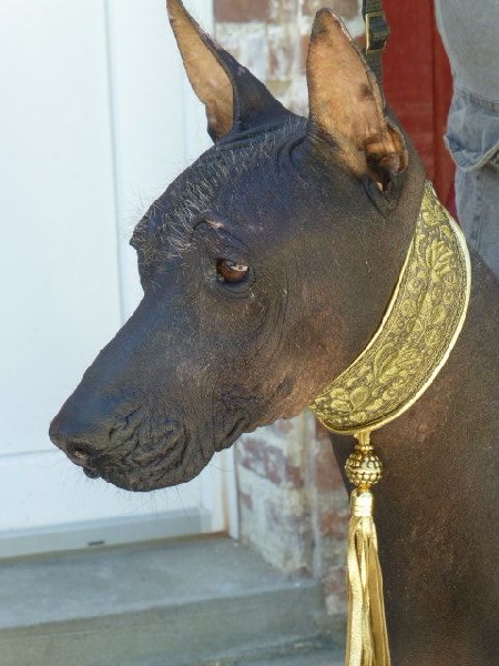 Publication : lovely yupanki Auteur : LARRIVIERE