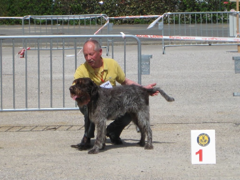 TR. CH. Calder De l'Etoile d'Heudicourt