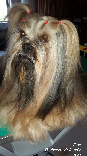 Publication : du Manoir de Luthece Auteur : DELMAS MN