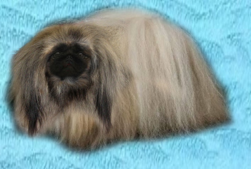 Publication : The Lee Jla Long 