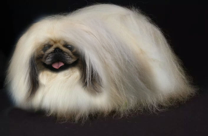 Publication : The Lee Jla Long