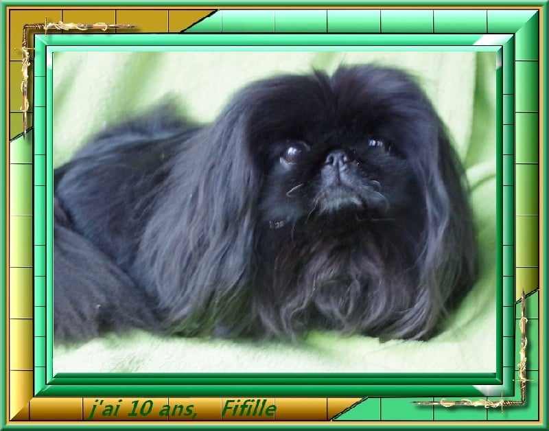 Publication : De L'orais D'almenêche Auteur : MA Lecomte Bourgeois