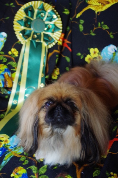 Publication : De L'orais D'almenêche Auteur : MA Lecomte Bourgeois