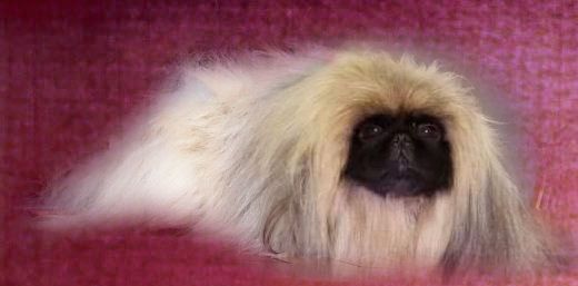 Publication : The Lee Jla Long 