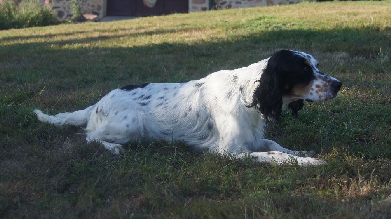 Publication : du Mas d'Eyraud 