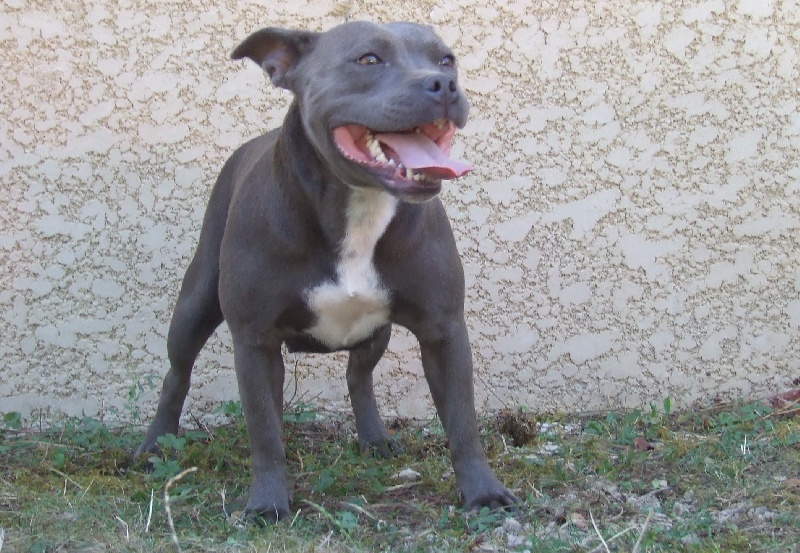 Publication : Woody's Original Auteur : fl