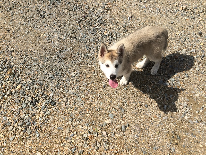 Publication : De L'héritage De Nome 