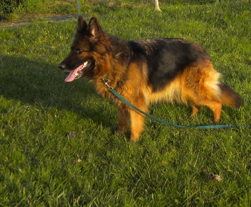 Publication : Du Domaine D'Aurelie Et Amelie Auteur : le domaine d'Aurélie et Amélie