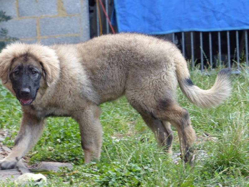 Publication : Du Gardien De Velana