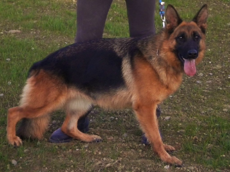 Publication : Du Domaine D'Aurelie Et Amelie Auteur : LE DOMAINE D'AURELIE ET AMELIE