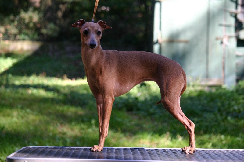 Publication : Forum Romanum