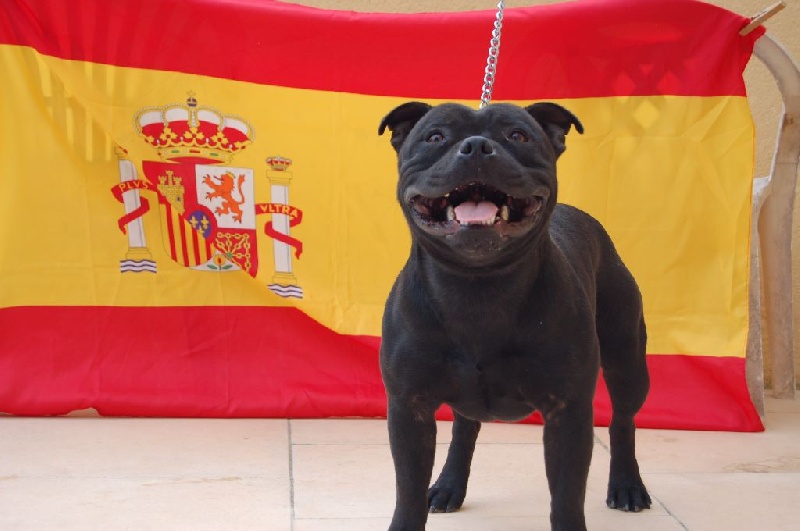 Junior terror jango du chant de hienda