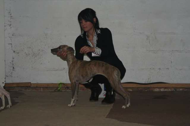 Publication : Des Vives Etoiles D’Argent Auteur : De moura ambre